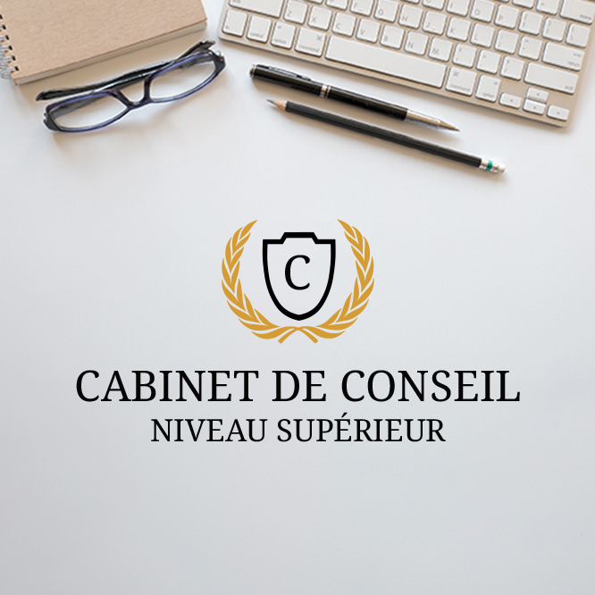 Exemple de logo personnalisé de conseil